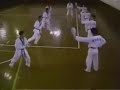 Tae Kwon Do Sparring and Breaking Tae Kwon Do Sparring and Breaking