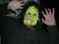 videos de Thom's Monster Bash