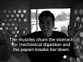 Digestive System