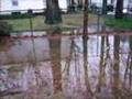 Our-backyard-flood-o