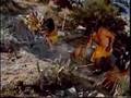 Native American Indian Mono Lake Paiute - earthquake