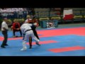 WAKO 2009 Andreas Reim v Anthony Arangs