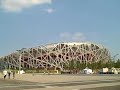 Lindsay Toler at the Beijing Olympics: Working at the Green