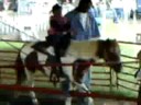 Pony Ride