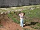 qalqilia qalqilya قلقيلية طارق