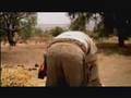 Tiro De Gracia ( Cortometraje )