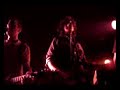 manta ray en directo