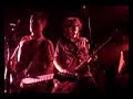 manta ray en directo