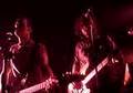 manta ray en directo