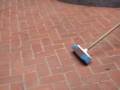 videos de sico en el jardin 1
