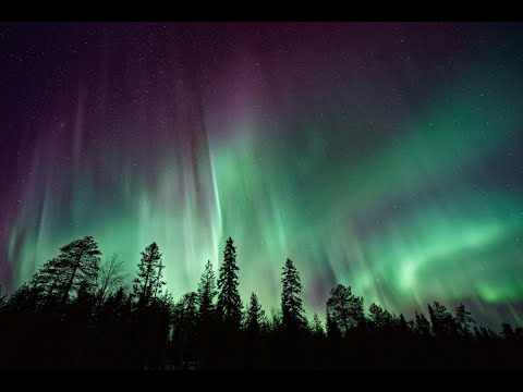 AuroraPulse