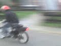 Honda wallaroo