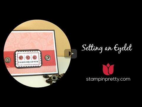 how to set eyelets with a crop a dile