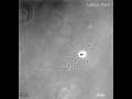 videos de Differentiation of hippocampal neuron in cuture
