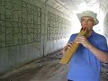 the evocative native american style flute   drone in d