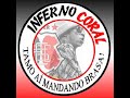 IAV E ALIADAS