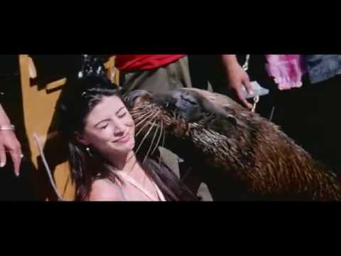 Telugu HD Video Songs HQ Movies Shankar Dada Zindabad
