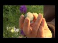 Tips en wetenswaardigheden voor uw tuin, balkon, terras en vijver. Gerard van Run, van Tuincentrum van Run uit Vught vertelt er over.De programma's zijn gemaakt in samenwerking met VTV1 en worden daar wekelijks uitgezonden.