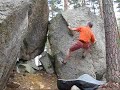 Gummitarzan