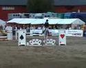 Ponny SM i hoppning 2008. Högbo Ridklubb Sandviken. Medaljörerna i kat. D.Vill du se mer från SM? Hör av dig i så fall! Jag har mer från SM-klasserna som gick på lördagen och söndagen. /a-k