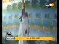 videos de Asaram Bapu's son narayan ENJOY SEX with GIRLS living in his ASHRAM : FALSE ALLEGATION EXPOSED
