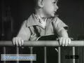 Watch 'Jonas Salk and the Polio Vaccine'