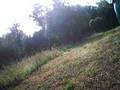 videos de Mtb Citta del Vino - San Clemente (RN)