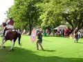 Comitatus Cavalry 1