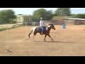 Beginning Horse Riding : Collection Horse Training a Lope