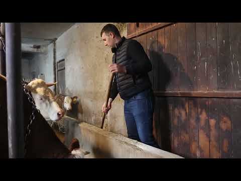 ИСПЛАТА ЗАОСТАЛИХ ПРЕМИЈА ЗА МЛЕКО