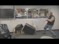 American Chopper - Senior and Junior fight - UNSEEN FOOTAGE! Season 6 Uncensored! OCC