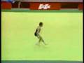 SCHERBO V. 1989 FX