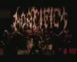 Mortificy (Live Video)