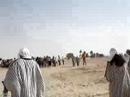 BEDUINS AND CAMELS