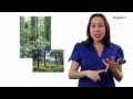 Learn Biology: Biodiversity Definition