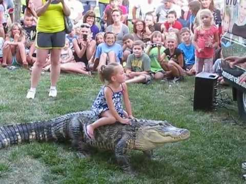 YouTube reptile video
