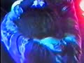 the telescopes - mother of pearl