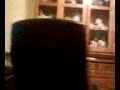 Scary Maze Game