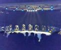 bustan 2007