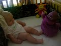 boobah buddha baby