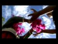 Zorro Chang - La Rénion