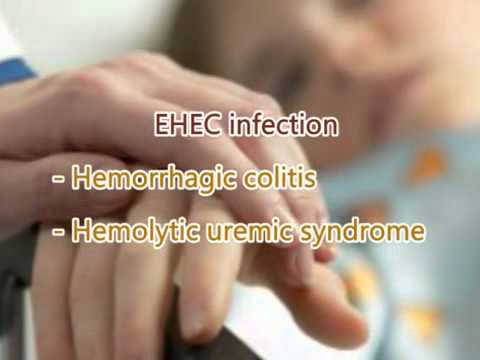 how to treat ehec
