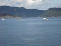 Orcas em San Juan Islands