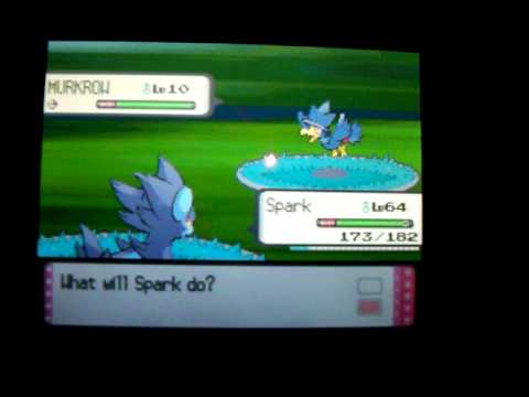 Murkrow