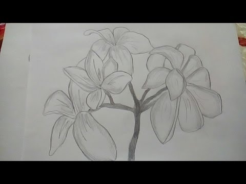 Как нарисовать Барта Симпсона поэтапно