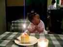 Amabel 1st Birthday