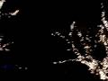 videos de luzes nas árvores do ibirapuera - 23/12/2008