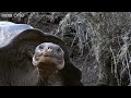 funny talking animals walk on the wild side episode three preview bbc one