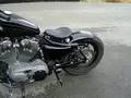 2008 Nightster with spring seat and chopped fender