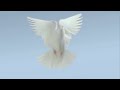 i:wing - bionic air circulation